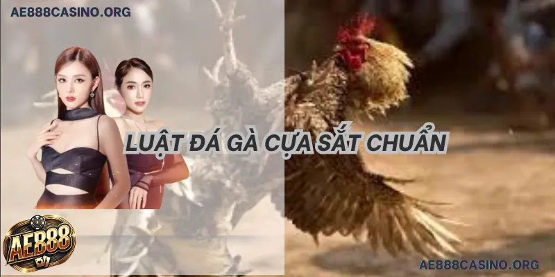 Miễn Trừ Trách Nhiệm AE888: Tuyệt Đỉnh 5 Quy Tắc Bảo Vệ Vốn 2026 1 Quy trình thực hiện Miễn trừ trách nhiệm AE888