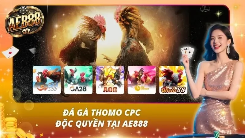 AE888⭐️dulhandiaries⭐️TRANG CÁ CƯỢC UY TÍN NHẤT 2026【AE888 VINA】 29 Khu đá gà Thomo AE888 phát trực tiếp HD