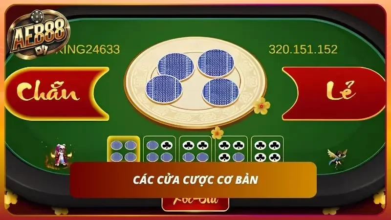 Cửa cược phổ biến nhất 2026