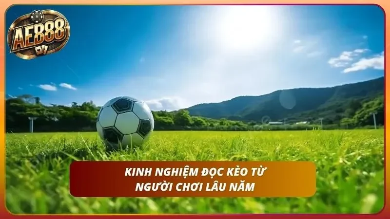 Cách Cược Bóng Đá AE888: Hướng Dẫn Đặt Kèo Cho Người Mới 3 Cận cảnh bảng kèo với các con số