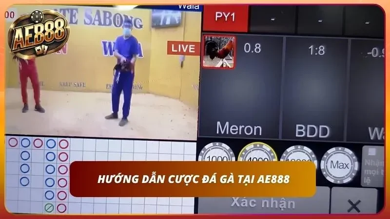 Cách Cược Đá Gà online AE888 – Hướng Dẫn A-Z Cho Newbie 4 Tìm hiểu các bước để lên kèo một cách chuẩn xác và hiệu quả
