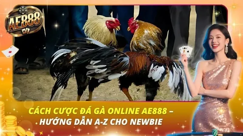 Cách Cược Đá Gà online AE888 – Hướng Dẫn A-Z Cho Newbie