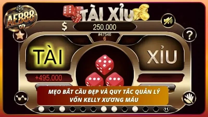 Cách Soi Cầu Tài Xỉu - Bắt Cầu Chính Xác 90% Tại Ae888 6 Chiến lược quản lý vốn Kelly giúp tối ưu lợi nhuận khi soi tài xỉu.