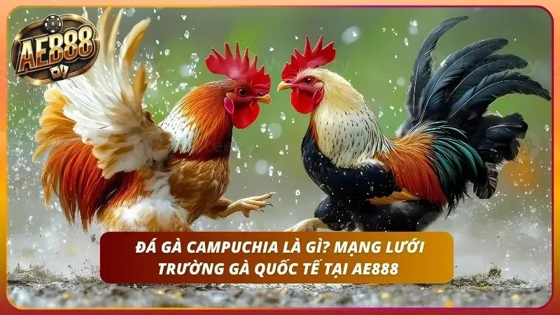 Đấu trường chuyên nghiệp với hệ thống camera giám sát đa chiều.