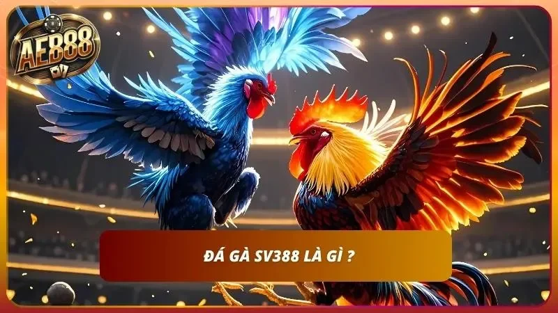 Cách Cược Đá Gà SV388 Tại AE888 – Sảnh CPC1 Đến CPC5 1 Tìm hiểu khái niệm Đá gà là như thế nào