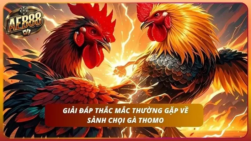 Cách Cược Đá Gà SV388 Tại AE888 – Sảnh CPC1 Đến CPC5 6 Cùng nhau giải đáp thắc mắc hay gặp tại AE888