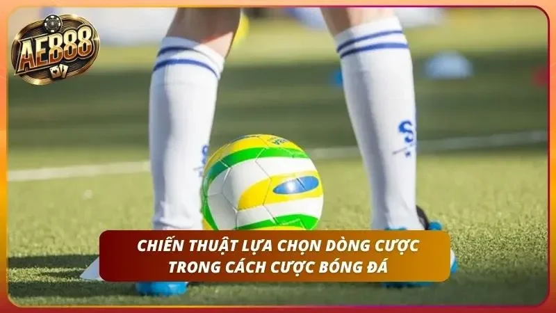 Phân Biệt Kèo Châu Á Châu Âu - Loại Nào Dễ Ăn ? 3 Mô hình phân tích tương quan lực lượng áp dụng trong việc chọn