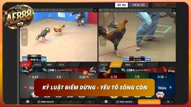 Mẹo Cược Đá Gà Thắng - Bí Quyết Soi Gà Cao Thủ Từ AE888 4 Thao tác nhập mã OTP rút tiền lợi nhuận về ngân hàng trên điện thoại.