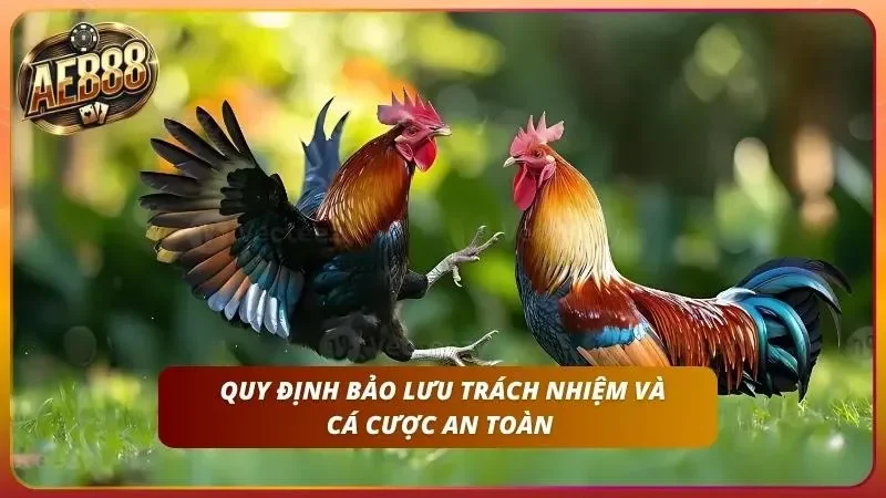 Mẹo Cược Đá Gà Thắng - Bí Quyết Soi Gà Cao Thủ Từ AE888 6 Thao tác thiết lập giới hạn mức nạp tiền hàng ngày trên bảng điều khiển.